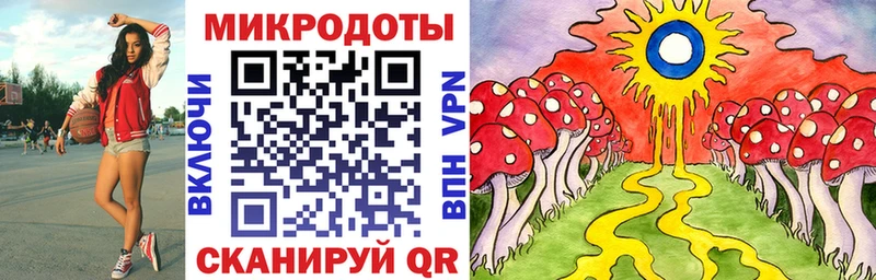 хочу наркоту  Аткарск  Галлюциногенные грибы Psilocybe 
